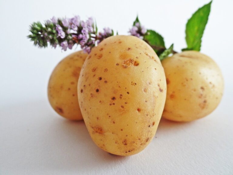 Qui a déjà goûté à la pomme de terre farcie bretonne ?