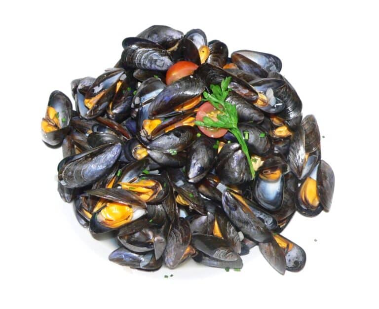 Les deux principaux plats bretons issus de la mer
