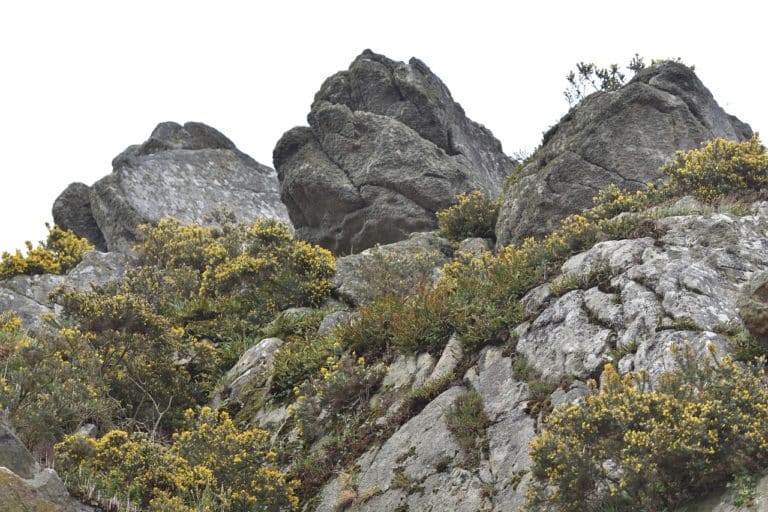Les lieux vivants et enchanteurs à visiter à Saint-Brieuc