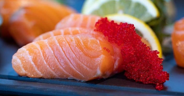 Quelles sont les spécialités de la cuisine de la mer en Bretagne ?