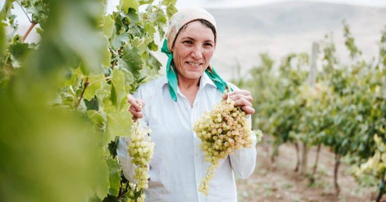 Qu&rsquo;est-ce qui rend le terroir breton si unique ?