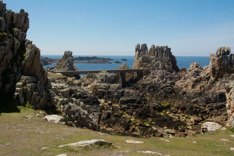 La Bretagne : une terre oenologique méconnue ?