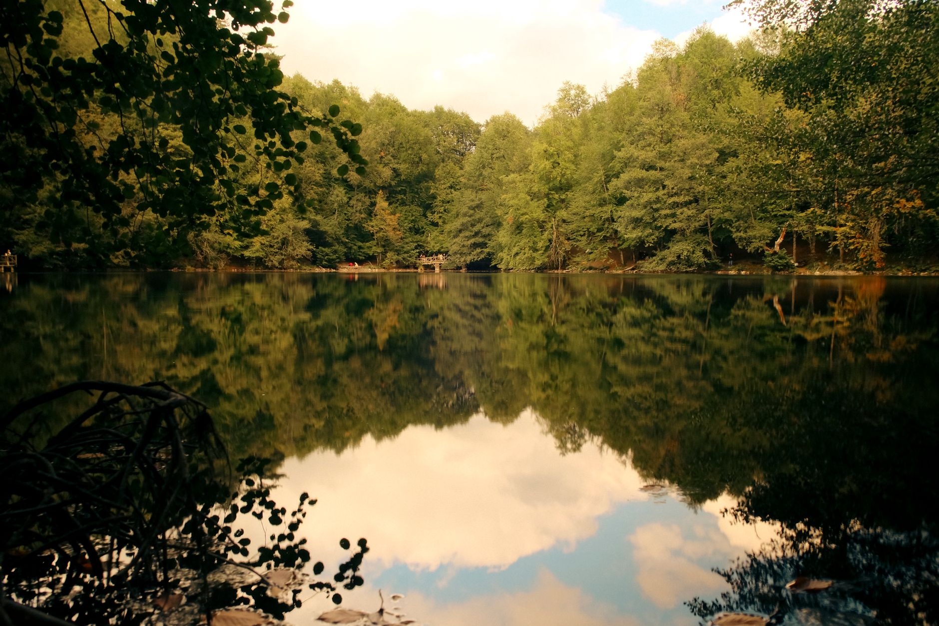Étang calme bordé d’arbres feuillus, dont les cimes et le ciel nuageux se reflètent dans l’eau sombre, avec des branches au premier plan.
